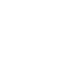 logo light